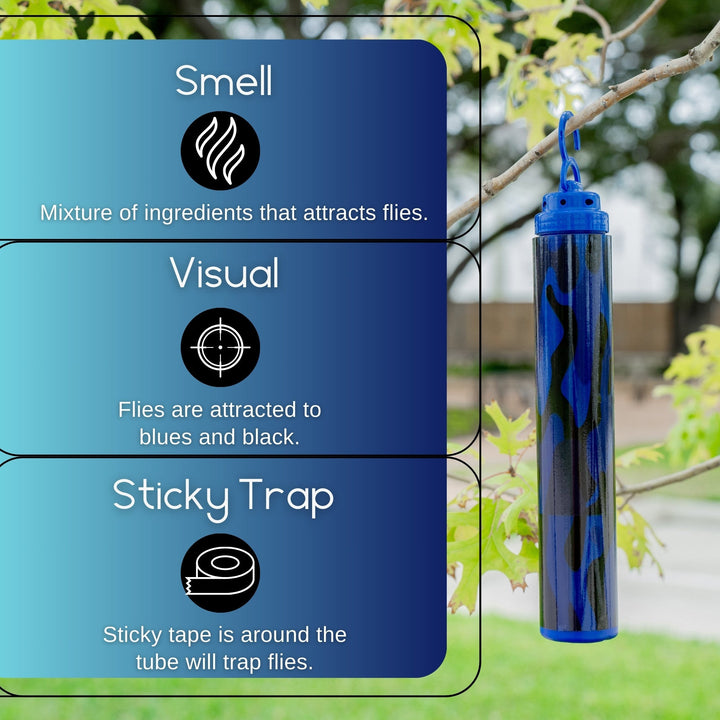 Aion Fly Trap - Traps and Kills Fly&