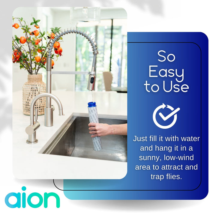 Aion Fly Trap - Traps and Kills Fly&
