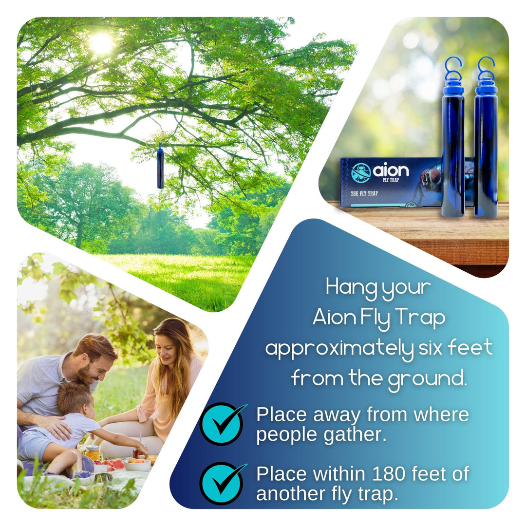 Aion Fly Trap - Traps and Kills Fly&