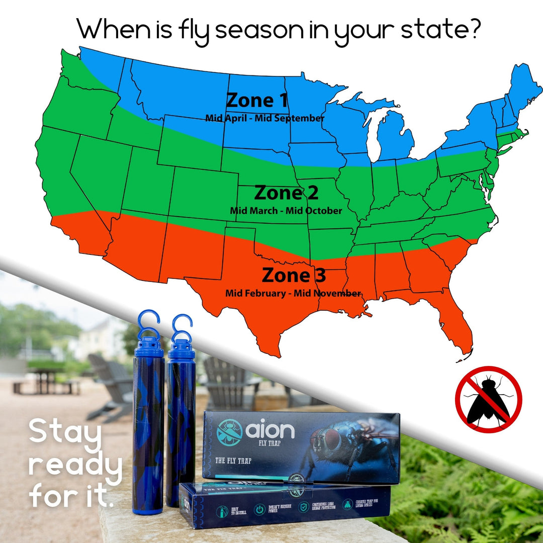 Aion Fly Trap - Traps and Kills Fly&