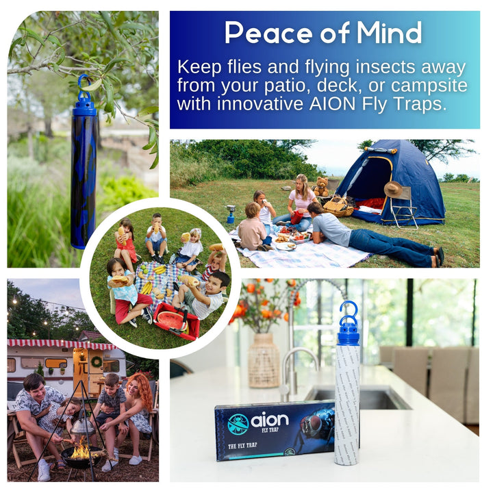 Aion Fly Trap - Traps and Kills Fly&
